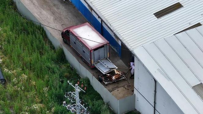 Ubojnia w Dzierzbach na Mazowszu