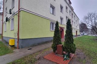  13-letni kibic ze Słupska zginął z rąk policjanta. Mija 25 lat od śmierci Przemka Czai [ZDJĘCIA]