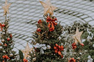 Choinka 2021 – najpiękniejsze ozdoby. Jak dekorować świąteczne drzewko? [INSPIRACJE]