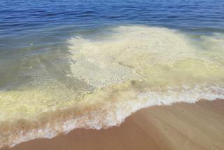 Woda w Bałtyku ma niepokojący kolor. Czy to sinice? Czy możemy wejść do takiej wody?