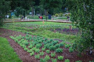 Nowa atrakcja w Bartążku. Nad jeziorem powstał AromaPark. Zobacz, jak wygląda!