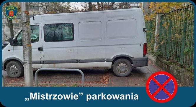 Mistrzowie Parkowania - Listopad 2020