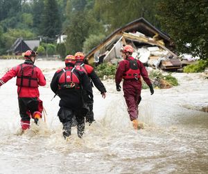 Burmistrz wyjechała na drogie wakacje, w tym czasie jej miasteczko zalała wielka fala. Nie wrócę