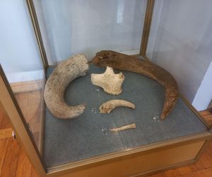 W poszukiwaniu początków Leszna. Nowa wystawa w muzeum w Lesznie