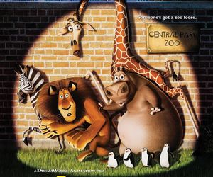 Pamiętasz kultowe teksty z animacji “Madagaskar”? Spróbuj się w quizie z kultowej bajki! 