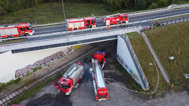 Pożar dzikiego wysypiska śmieci w Dąbrowie Górniczej