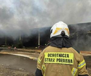 Ogromny pożar pod Gorzowem. Wiemy, co płonie