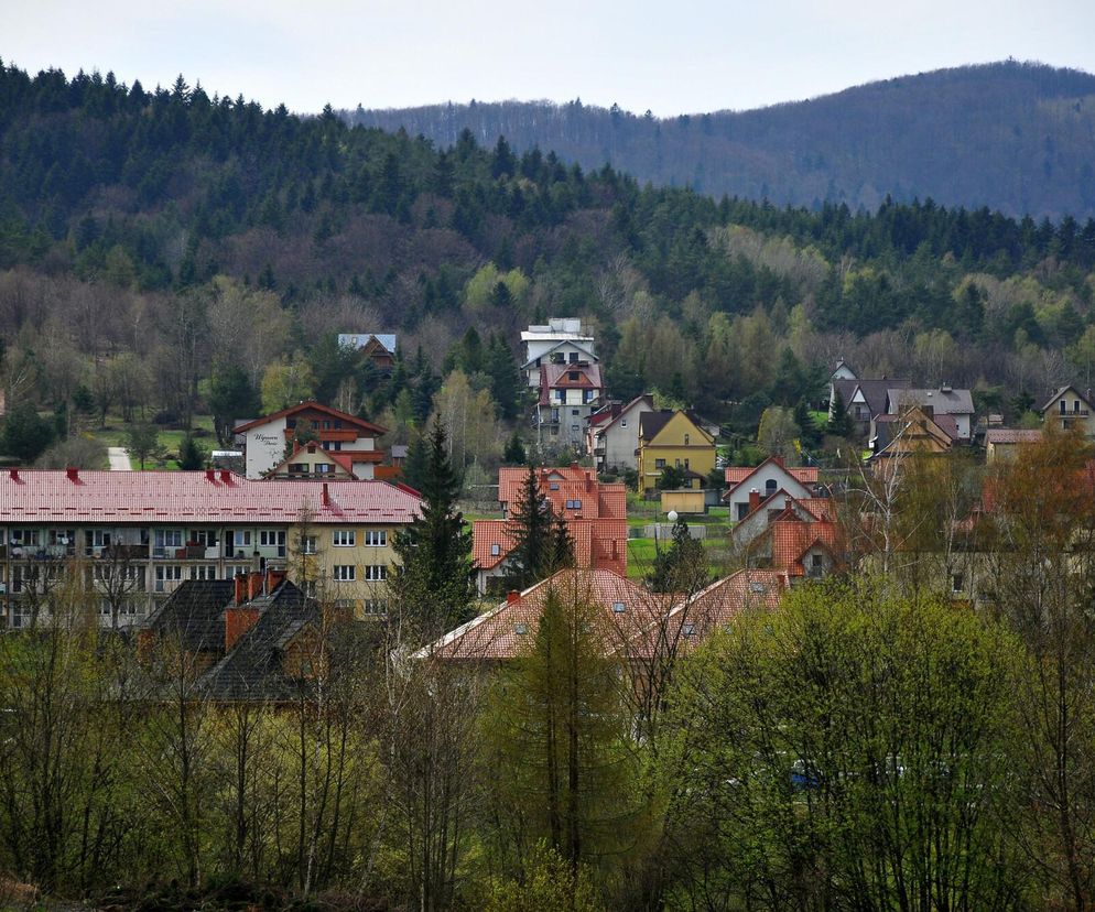 Wysowa