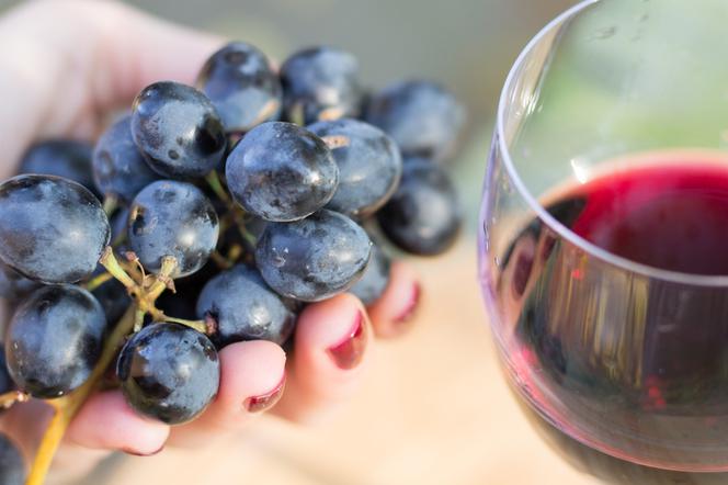 Wino z polskich winogron - jak zrobić domowe wino winogronowe