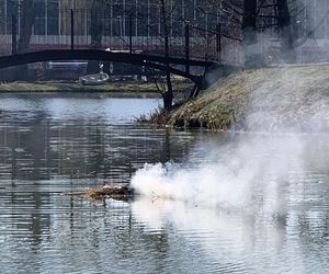 Lublinianie pożegnali zimę i powitali wiosnę! W Ogrodzie Botanicznym odbyło się topienie Śmiercichy