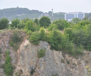 Park linowy Tyrolka na Kadzielni w Kielcach zaprasza