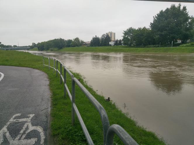 Wisłok zbliża się do progu alarmowego - 23 czerwca