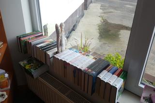 Charity Shop, czyli sklep charytatywny w Sosnowcu