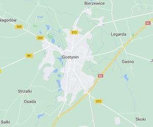 10. miejsce: Gostynin - 32,4 km² powierzchni