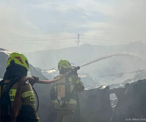 Pożar hali przemysłowej hurtowni zniczy przy ulicy Dojazd w Tarnowie