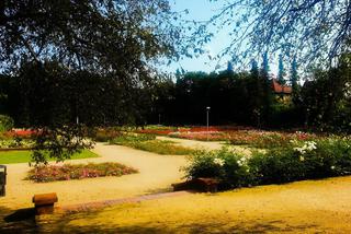 Różanka, czyli najpiękniejszy ogród Szczecina [ZDJĘCIE]