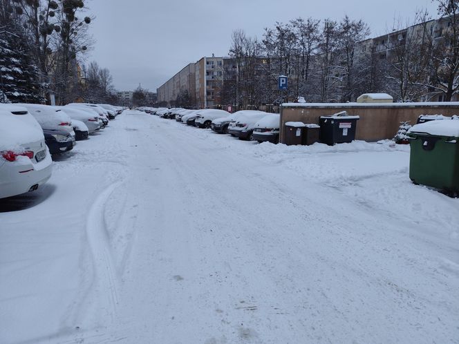 Śnieżna noc za nami. Czy zima zaskoczyła mieszkańców Poznania? 