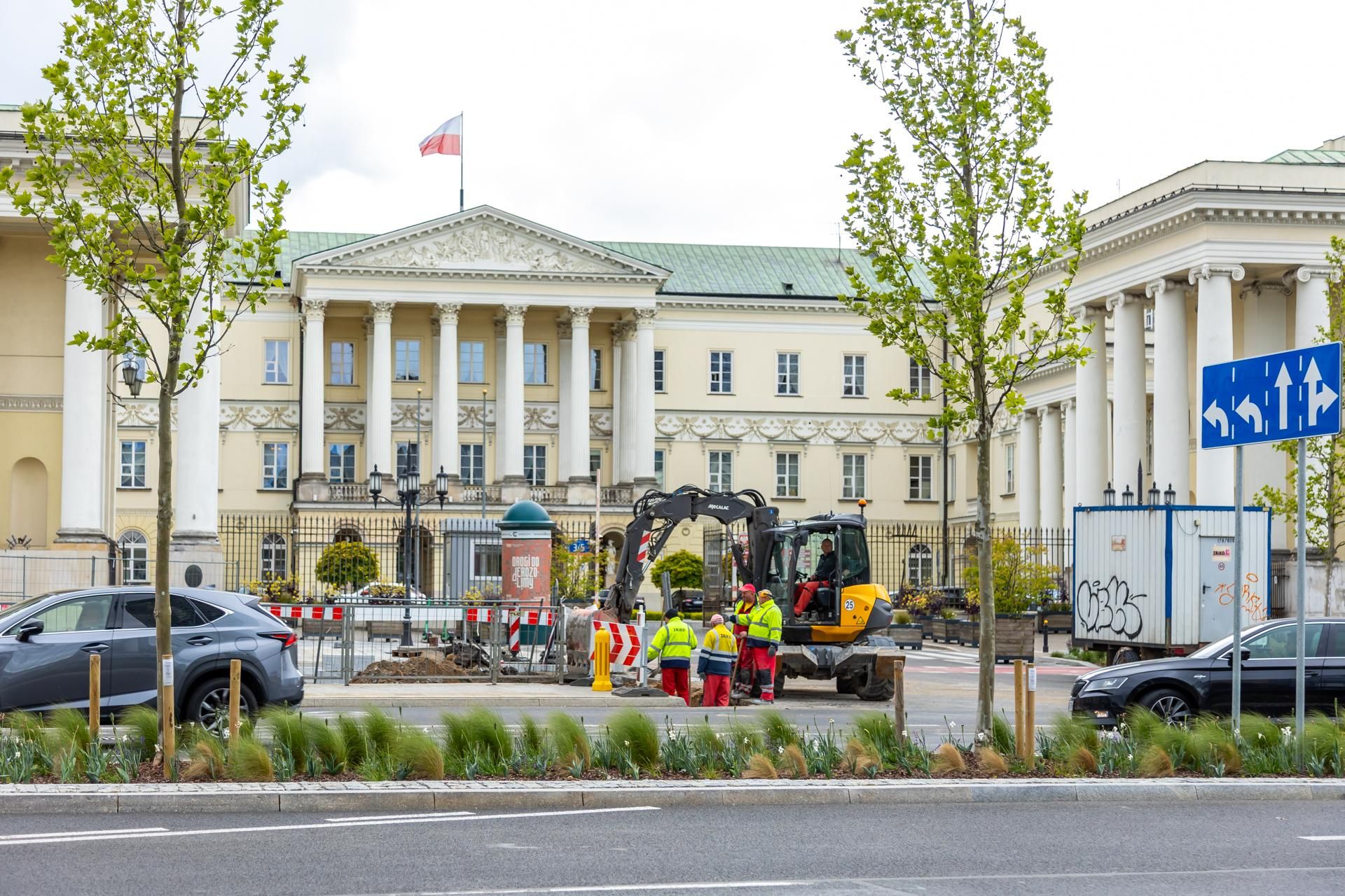 Sadzenie zieleni na placu Bankowym w maju 2025 r.