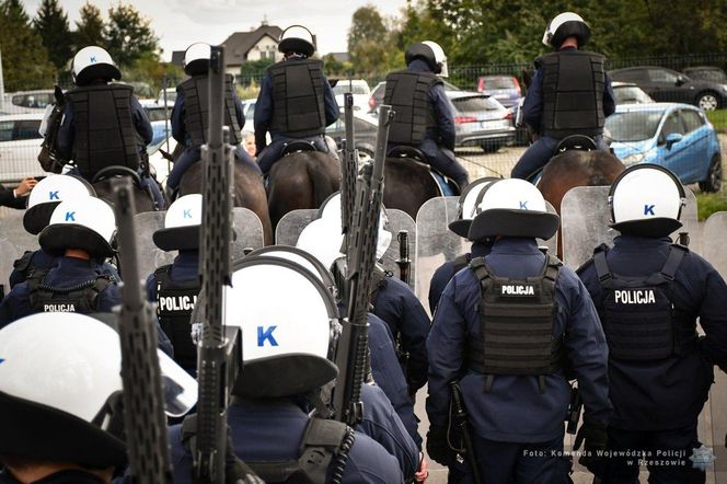 Policyjne konie zdały egzamin!
