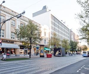 Projektowanie parametryczne i drewno - tymczasowy pawilon Pauhu