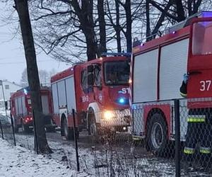 Cichy zabójca zaatakował w powiecie tarnowskim. 15-latka trafiła do szpitala