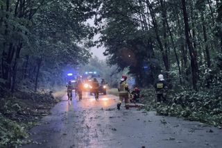Połamane drzewa i zerwane dachy. Ponad 250 interwencji strażaków