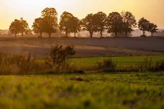 To prawdziwe cuda Podlasia. Poznaj te klejnoty regionu
