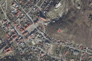 Na turystów w Kazimierzu patrzyła naga ludzka czaszka. Kim było to dziecko?