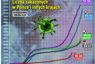 Koronawirus w Polsce (statystyki 19.10.2020 r.)
