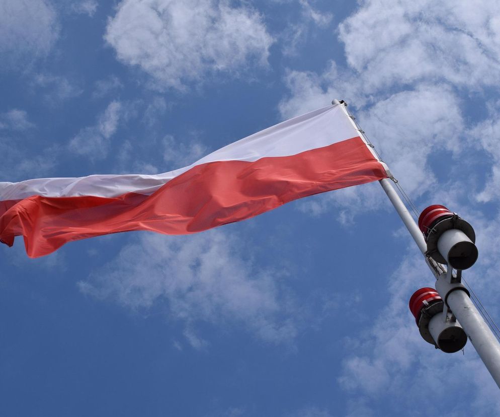 zdjęcie poglądowe
