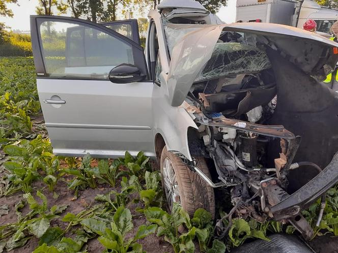 Hubinek: Makabryczna śmierć 80-latka na drodze. Kierowca TIR-a zignorował znaki