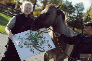 Osły, konie i kuce malują obrazy