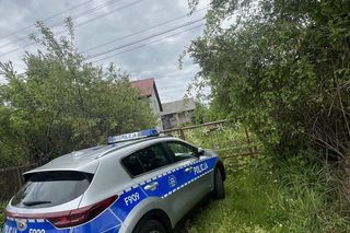 Dziewięć szczeniąt uratowanych. Wspólna akcja policji i schroniska 