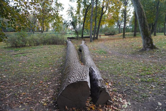 Park Lubomirskich w Białymstoku jesienią 