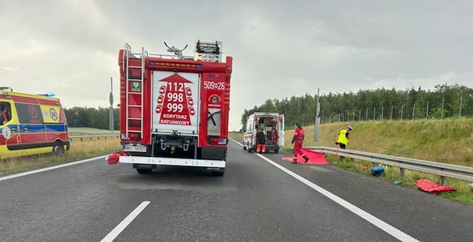 Śmiertelny wypadek na S7! Dwóch mężczyzn nie żyje. Bus huknął w bariery i wpadł do rowu [ZDJĘCIA]