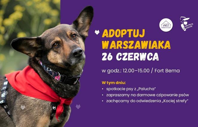 Adoptuj Warszawiaka