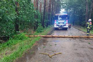 Fatalna pogoda w Białymstoku. Od rana ulewa i silny wiatr [ZDJĘCIA]