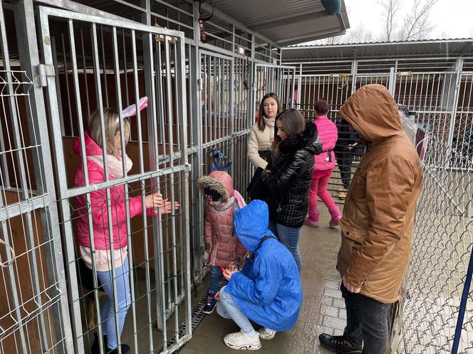 Dzień otwarty w schronisku dla zwierząt w Nowym Sączu