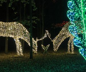 Byliśmy na otwarciu Lumina Park 2024 w Zamku Topacz