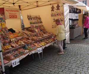 Dni Olsztyna 2025. Dziesiątki wystawców i setki olsztynian na Jarmarku Jakubowym