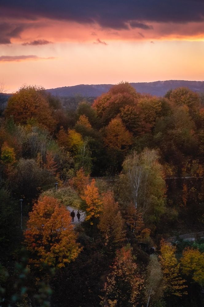 Świętokrzyskie. Kraina Czarów