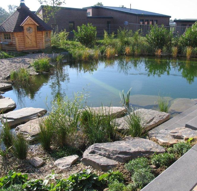 Stawy kąpielowe: kąpieliska oczyszczane biologicznie