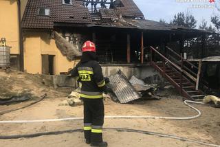 Czechowice-Dziedzice: Pożar w hotelu dla psów, dwóch zwierząt nie udało się uratować [ZDJĘCIA]