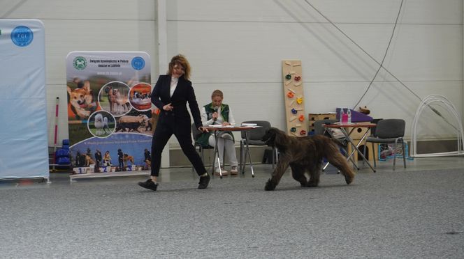 ZOOPARK w Lublinie. „Postawiliśmy na polski las. Chcemy promować nasze zwierzątka”