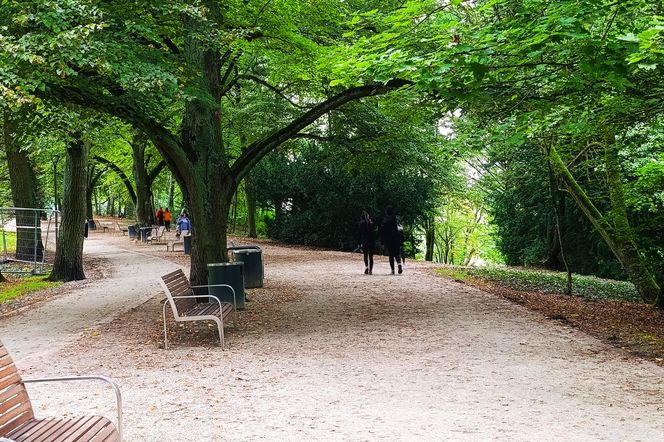 Usterki na Alei Fałata