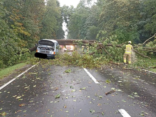 Gwałtowna burza nad Dolnym Śląskiem. Gradobicie, ulewa i mnóstwo zniszczeń