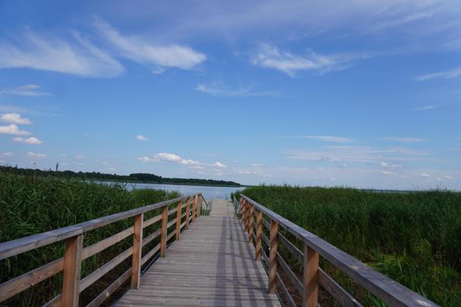 Podlaska Atlantyda, czyli Zalew Siemianówka i okolice