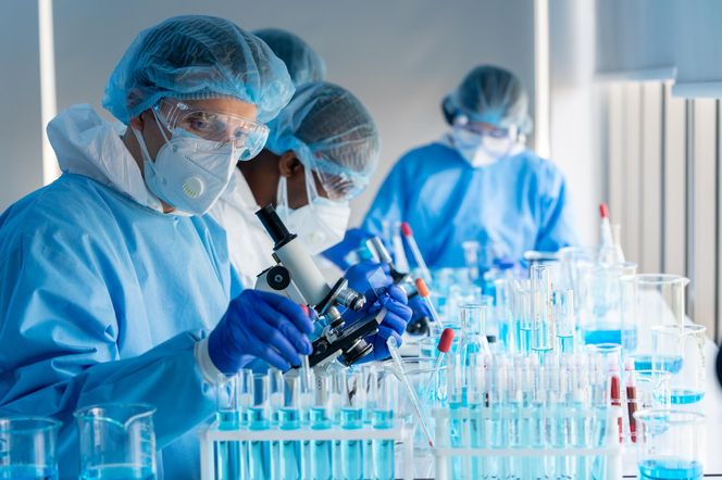 Wirus Oropouche w Europie. Czy grozi nam nowa epidemia gorączki leniwca?