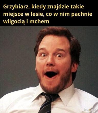 Nóż się w kieszeni otwiera i Janusz i szykuje się na grzyby! MEMY o grzybobraniu [GALERIA]