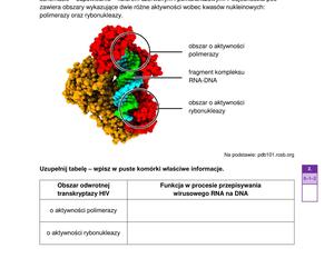 Matura 2024: biologia. Arkusze CKE i odpowiedzi. Poziom rozszerzony [Formuła 2023]